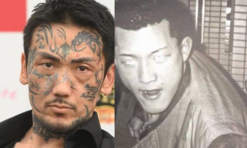 中药蜜枇杷功效与禁忌症-中药蜜枇杷功效与禁忌网 - 网站提供中药蜜枇杷功效与禁忌是什么小常识、蜜枇杷叶作用与主治