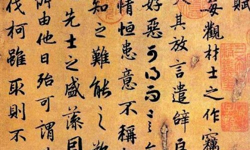 中药蜜枇杷功效与禁忌网 - 网站提供中药蜜枇杷功效与禁忌是什么小常识、蜜枇杷叶作用与主治