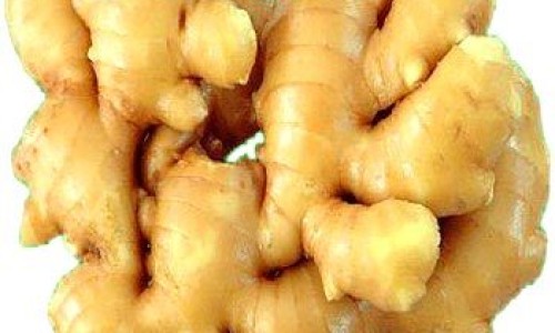 蜜枇杷叶作用与主治-中药蜜枇杷功效与禁忌网 - 网站提供中药蜜枇杷功效与禁忌是什么小常识、蜜枇杷叶作用与主治